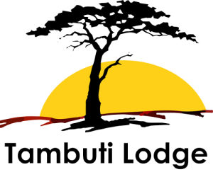 Tambuti Lodge